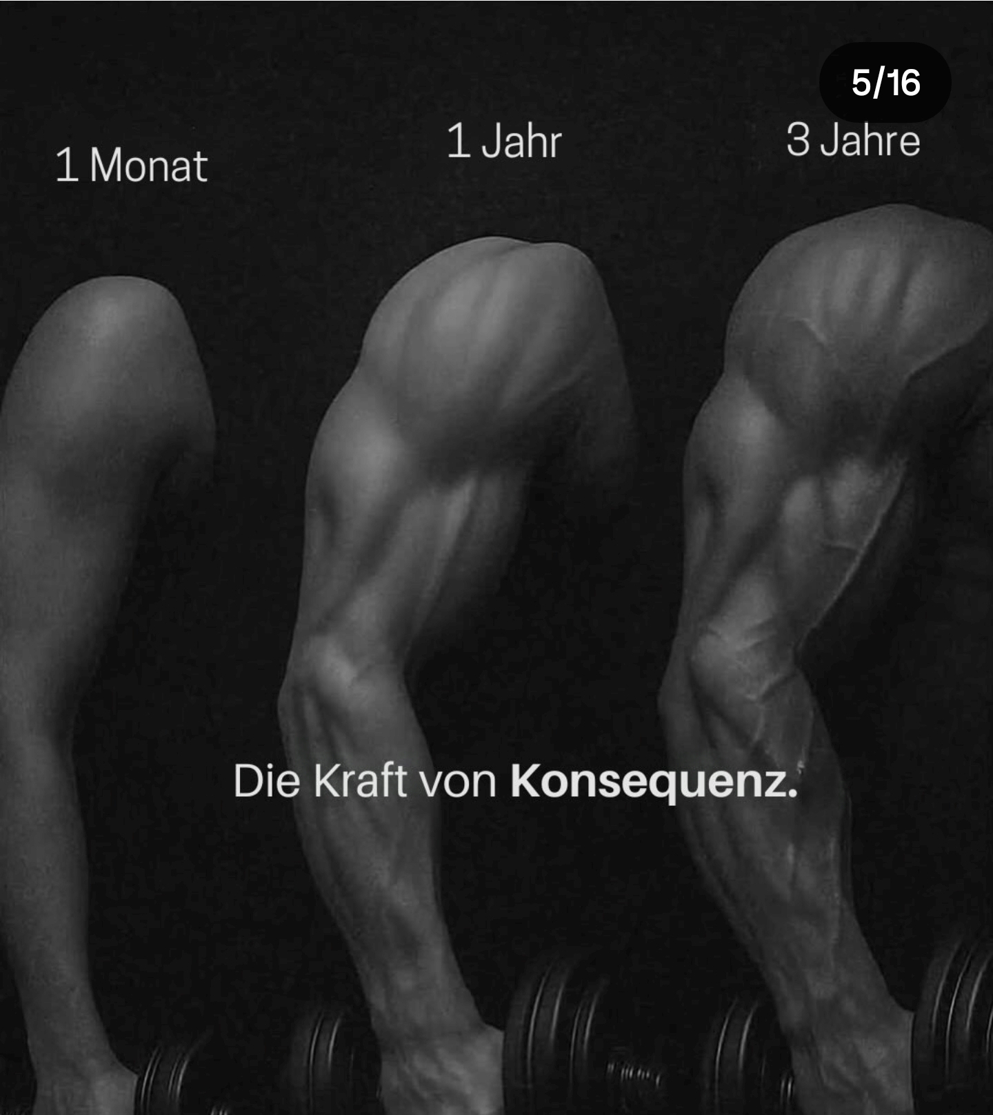 Mehr über den Artikel erfahren Mit Fokus–Fokus–Fokus zum Erfolg!